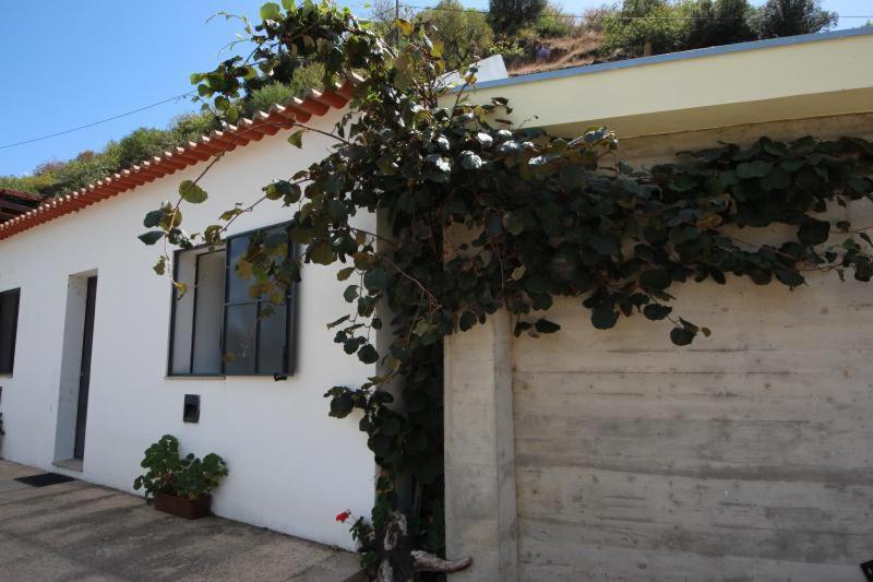 Douro Yacht Charter & Bungalows Sao Joao da Pesqueira Exterior photo