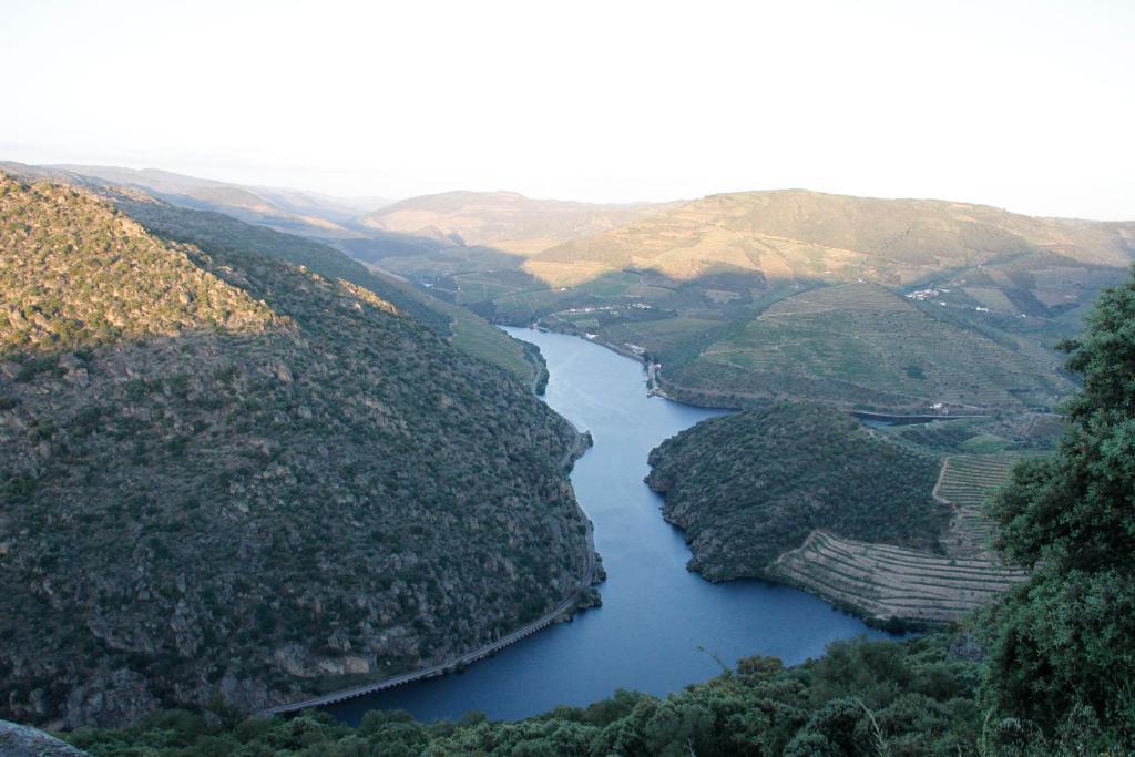 Douro Yacht Charter & Bungalows Sao Joao da Pesqueira Exterior photo
